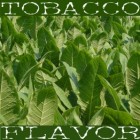 FW Latakia Tobacco - 10ml