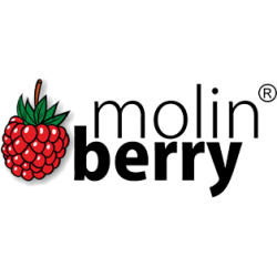 molin-berry
