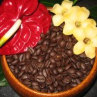 PerfumersApprentice - Coffee Espresso - 10 ml